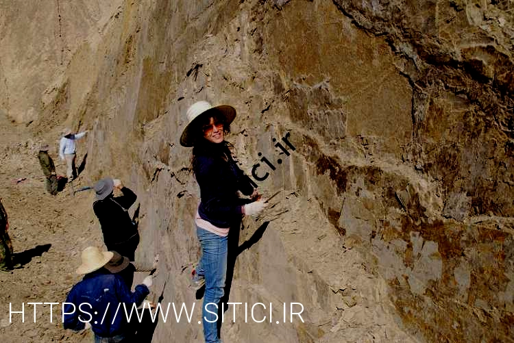 اگر به دنبال نمونه ای از دایناسور در کشور خود هستید، باید دوست داشته باشید